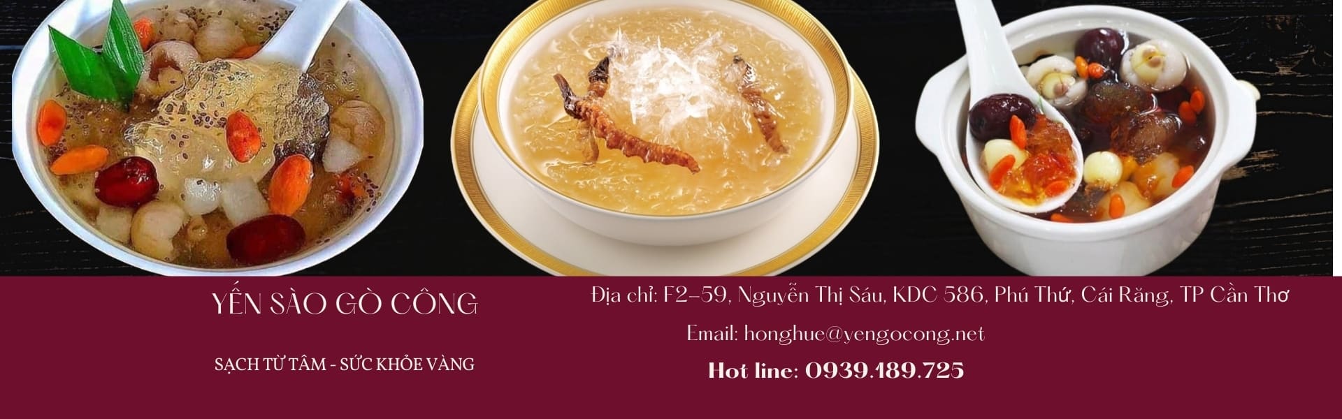 ysgc_banner_5 ysgc_banner_5