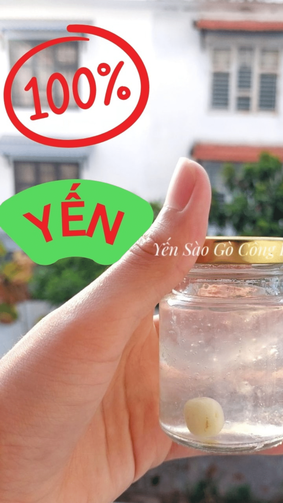 YSGC_100-YEN 920 1636